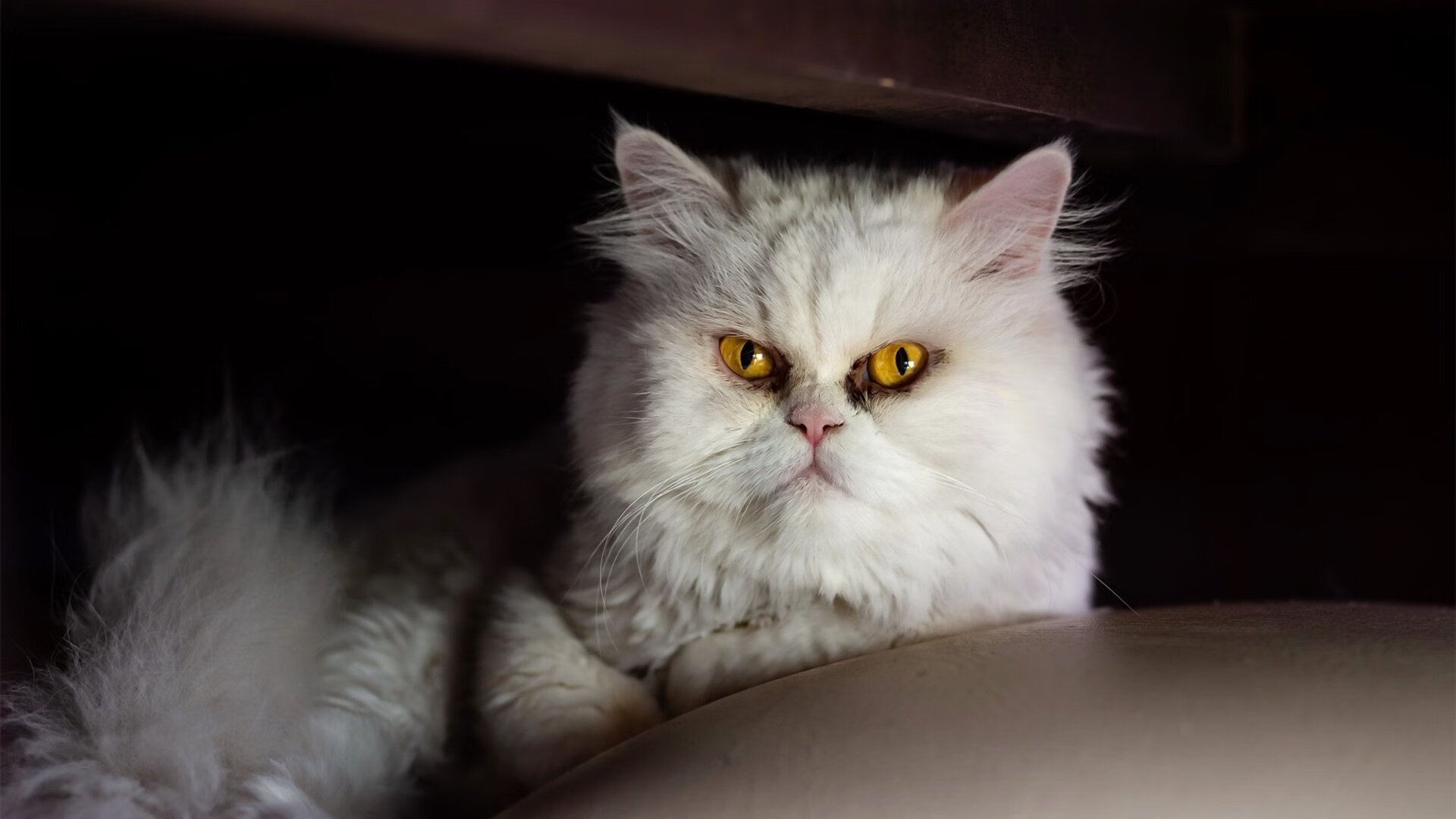 乐鱼体育网址入口-中国男篮锋线组合崭露头角 攻防兼备引关注,中国男篮中峰