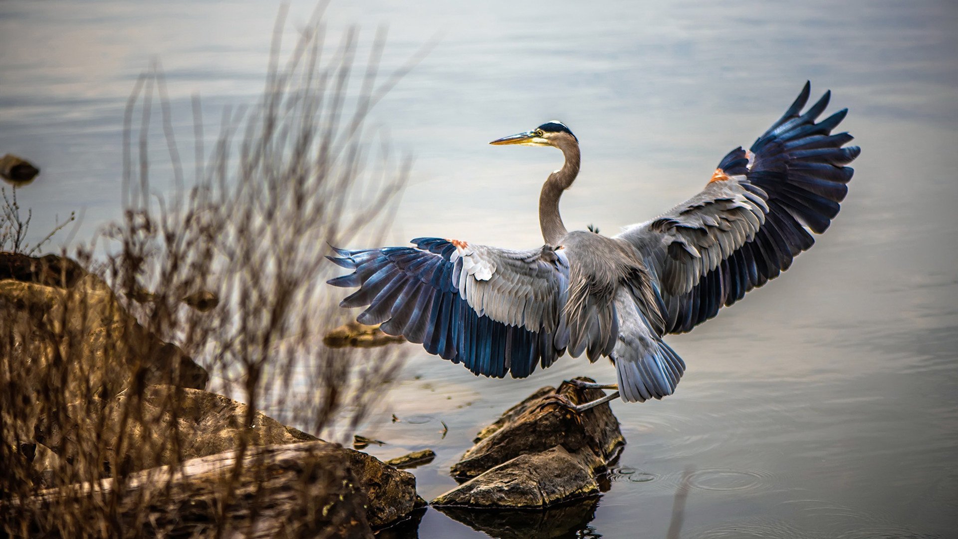 乐鱼体育-观众入场流程优化提升整体赛事体验,比赛现场观众注意事项