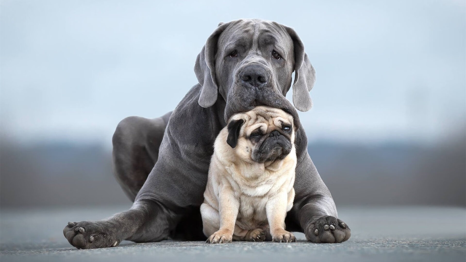 乐鱼官网介绍-中国足球俱乐部社区青训项目成果显著,中国足球青训俱乐部排名